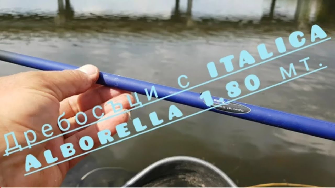 Дребосъци с ITALICA Alborella 1,80 метра /подробности в описанието по-долу 👇 #italica