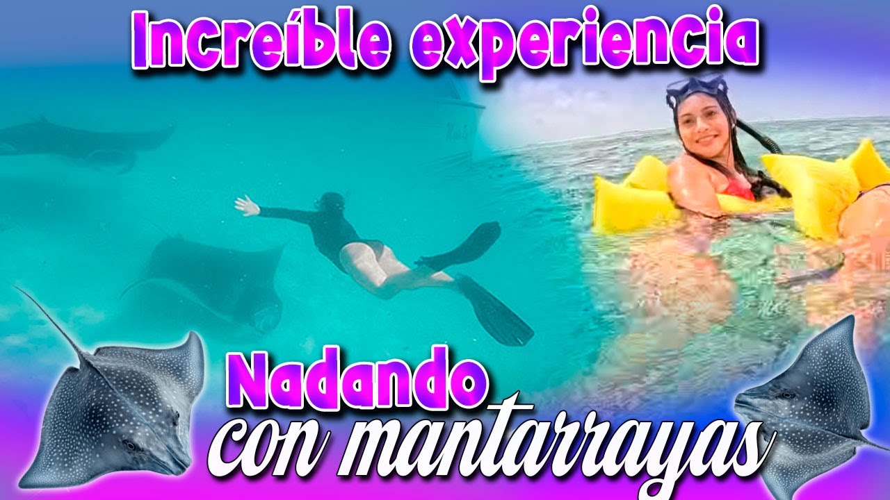 Nadando con Mantarrayas en Belice. QUE INCREÍBLE EXPERIENCIA🤩