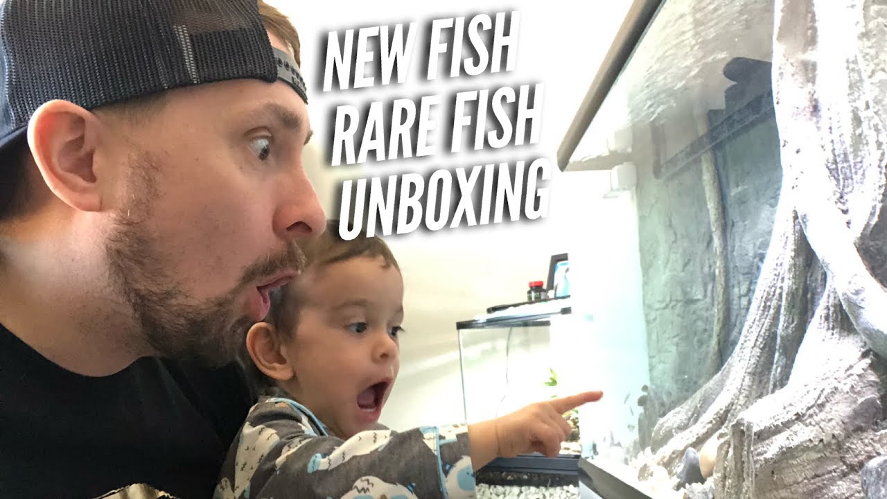 320 GALLONS - AQUARIUM FISH UNBOXING - NEW AFRICAN CICHLIDS - RARE FISH | Jay Wilson