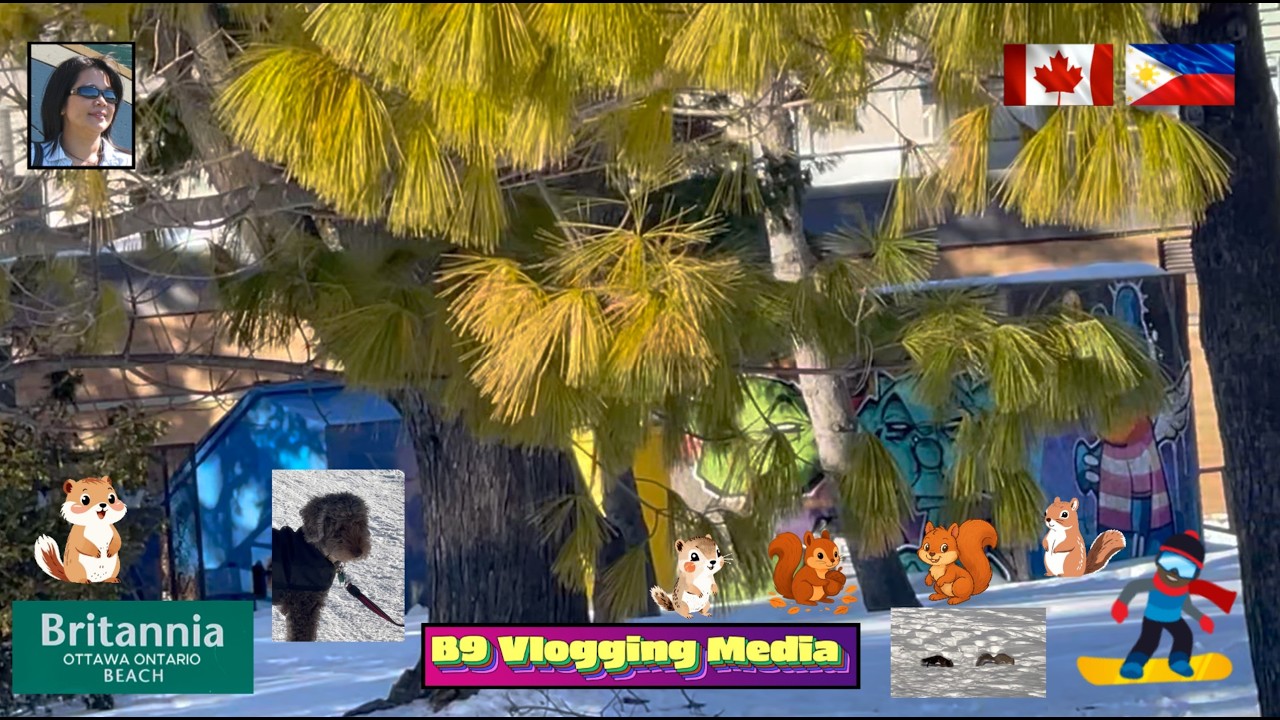 B9 VLOGGING MEDIA IS LIVE: BRITANNIA BEACH PARK WINTER VIBE #WH-UPDATE 02/20/2026. 4K