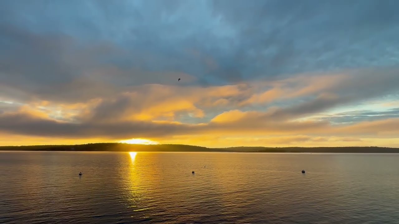 2025 May Highlights - Bach - Brandenburg Concerto No. 6 in B Flat 1. Allegro