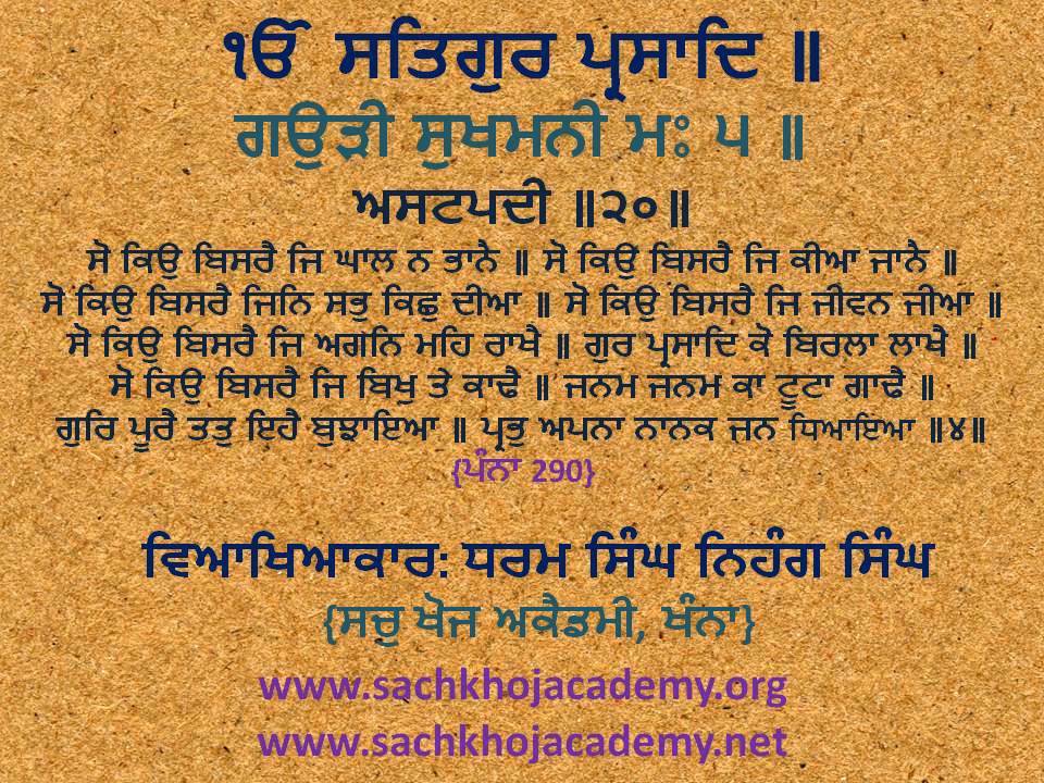 20(੪) Gaudee Sukhmanee M5 ਸੋ ਕਿਉ ਬਿਸਰੈ ਜਿ ਘਾਲ ਨ ਭਾਨੈ ॥ #DSNS