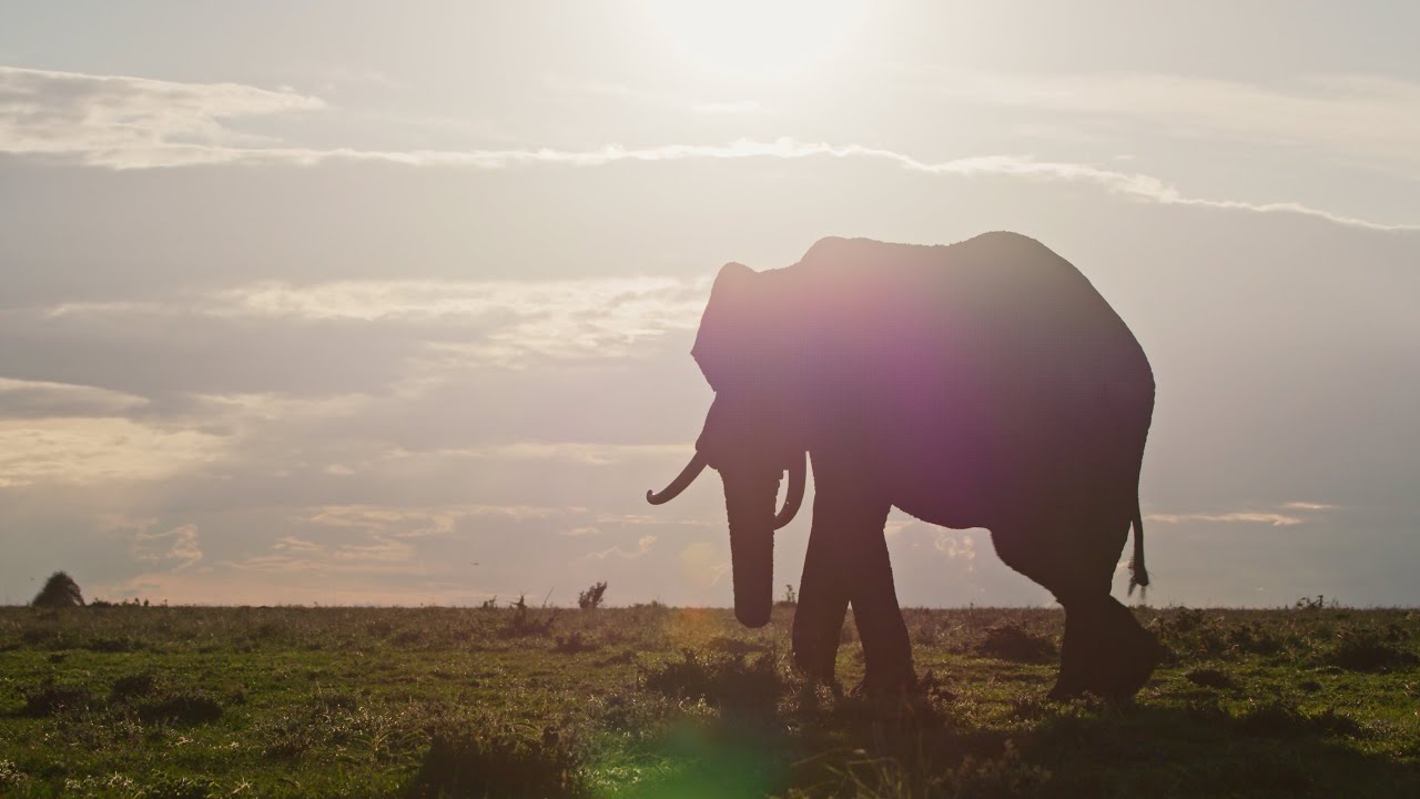 K20 Career-Focused-Careers in Conservation Science with Dr. Chase LaDue and Thomas Sharp