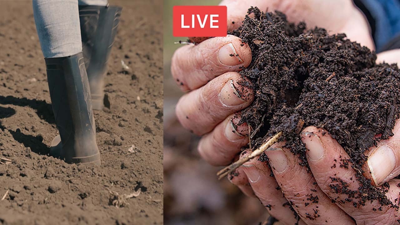 Agricoltura e fertilit&agrave; del suolo. Come fare a meno dei fertilizzanti chimici. Con Gianluca Ciampi