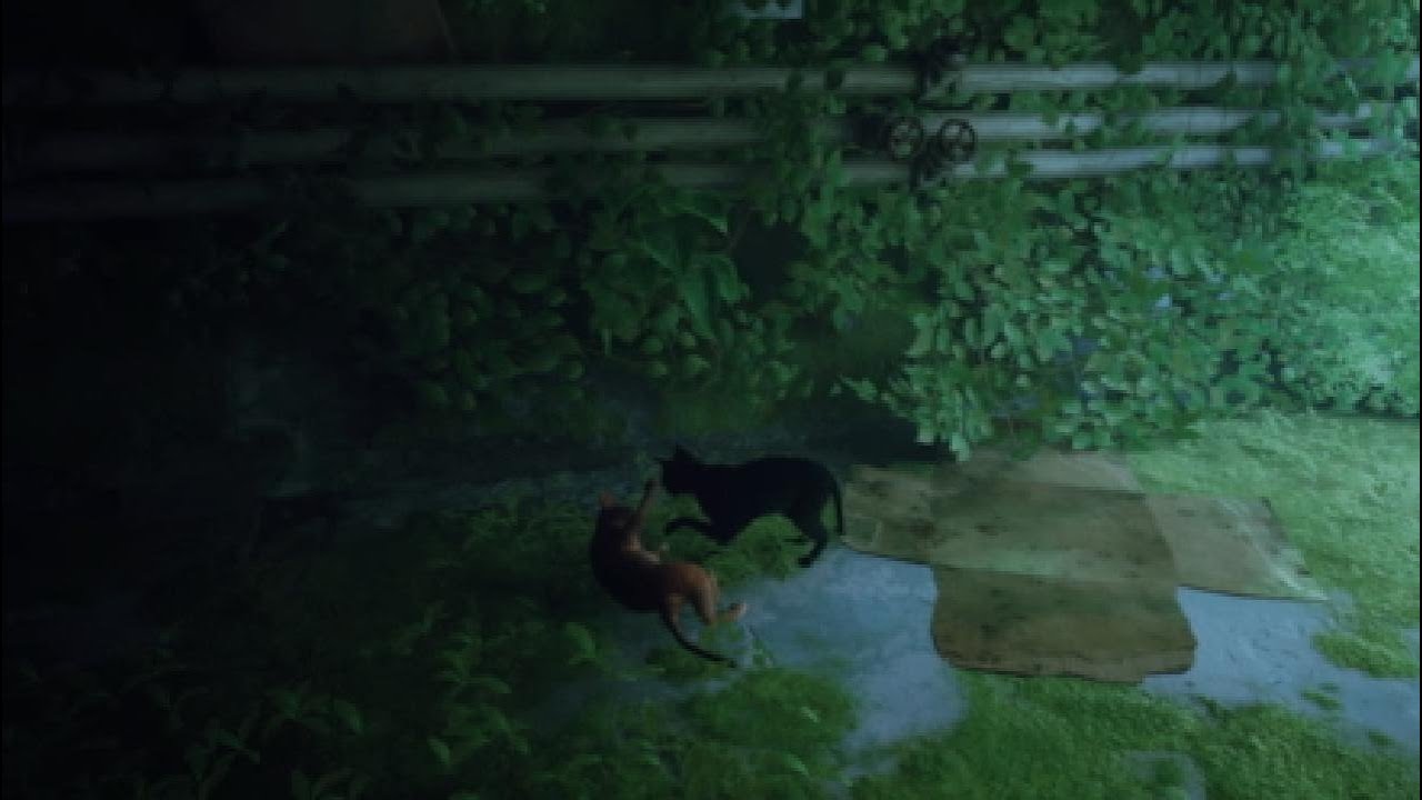 (STRAY) Gameplay - Part 1 