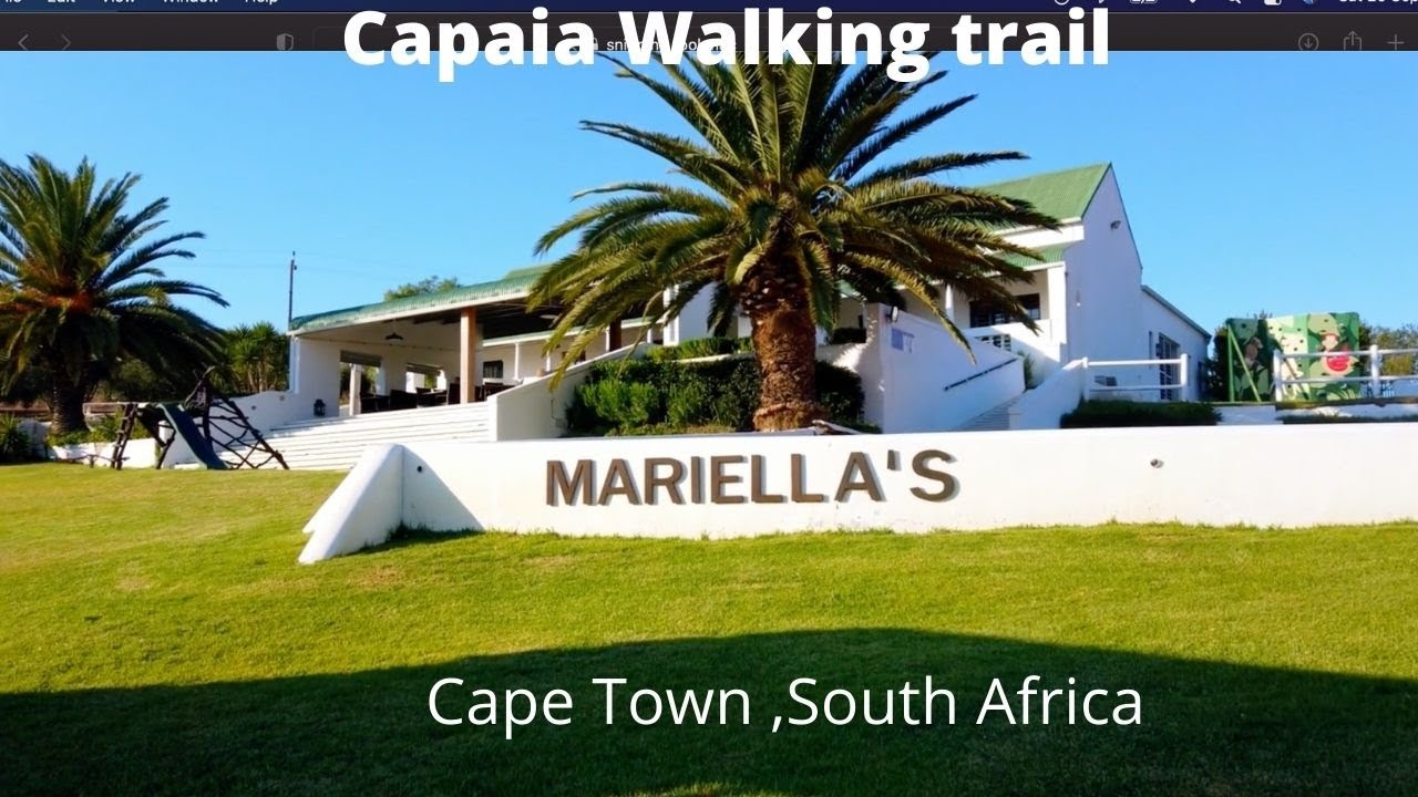Morning at Capaia walking trail of Mariella's wine farm | odiatoka | Devi | CapeTown | South Africa