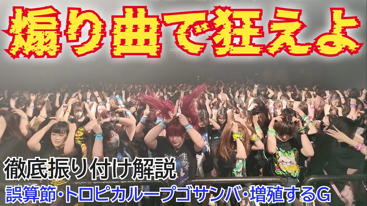 煽り曲って知ってる？ライブが100倍楽しくなる方法