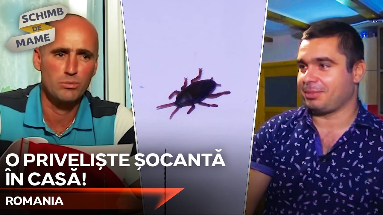 Nu Mamele, Ci Tații Au Făcut Schimb! - Vieți diferite | Schimb de Mame