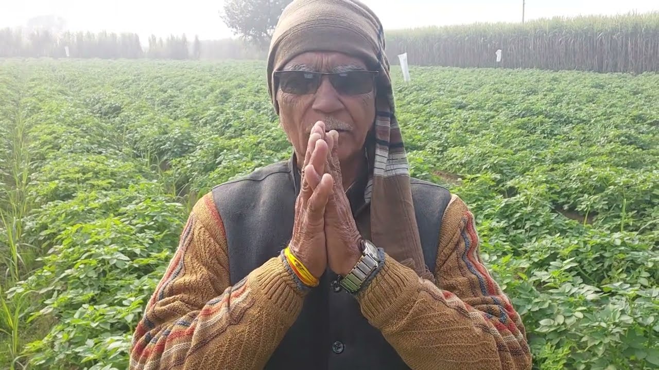 गन्ना+ आलू एक साथ ले रहे हैं चौधरी रतनपाल सिंह ट्रेंच विधि है किसानों के लिए जबरदस्त विकल्प