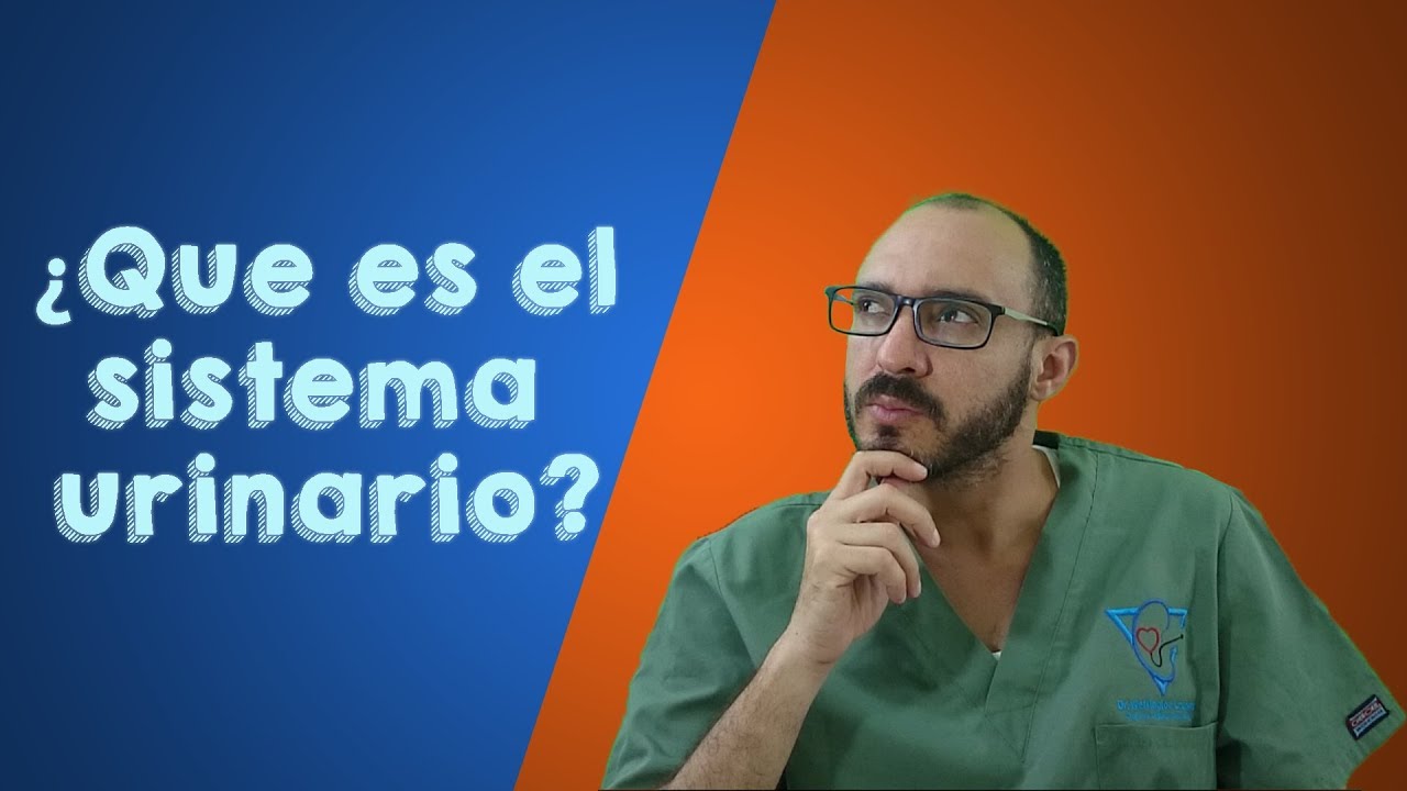 Sistema urinario - Dr. Wellington Ledesma (2do episodio urotips)