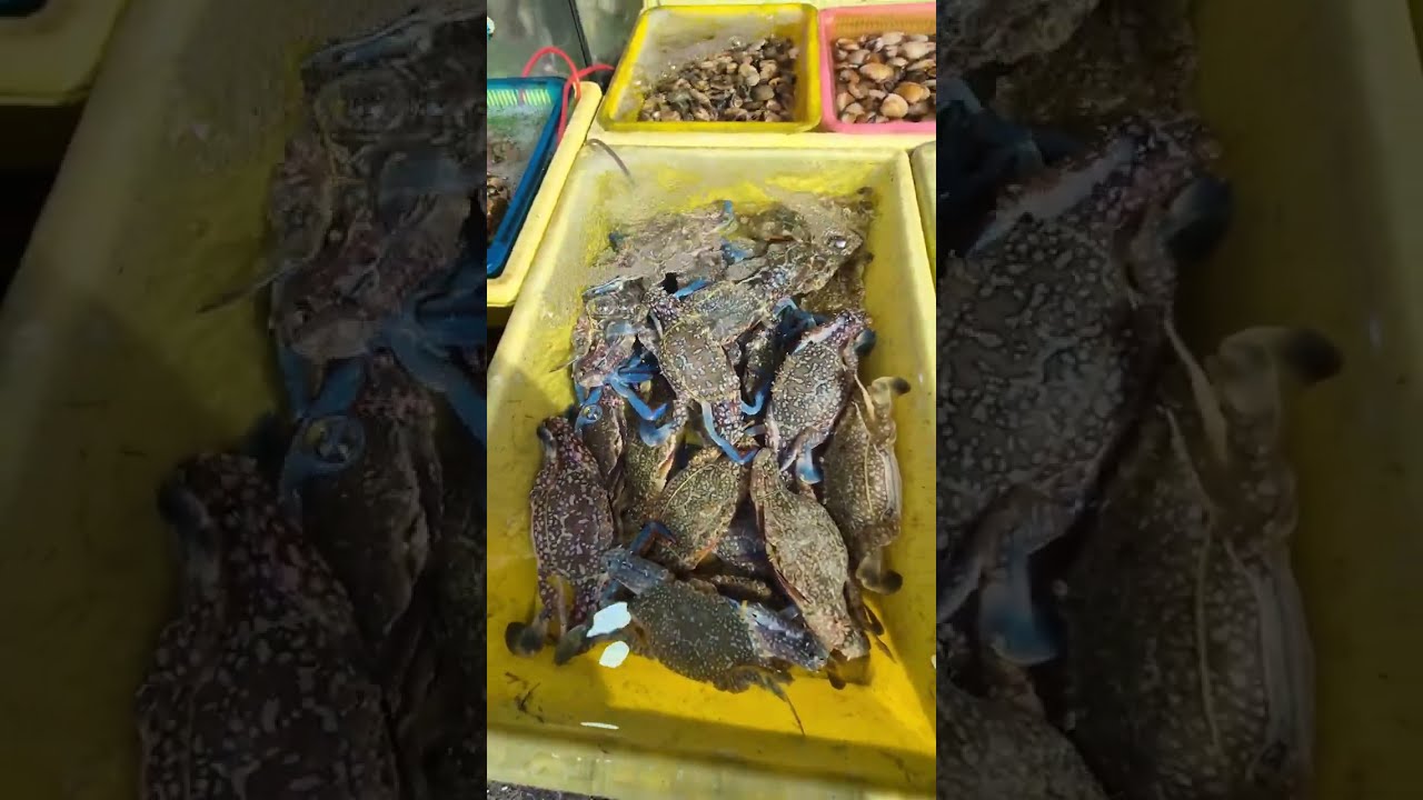 Рыбный рынок Раваи 🐟 | Пхукет Тайланд 🌴