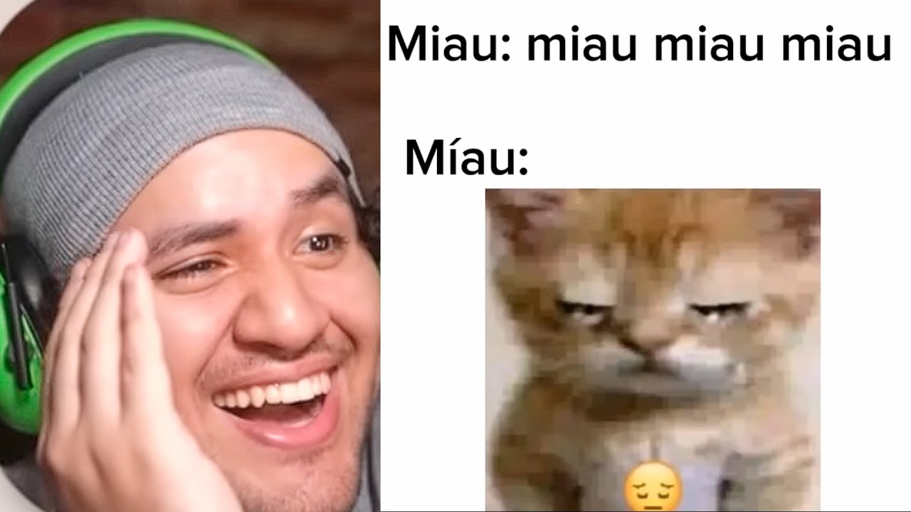 TIKTOKS TAN XD que MIAU MIAU MIAU MIAU 😿🗣️ MIAU MIAU MIA MIAU MIAU