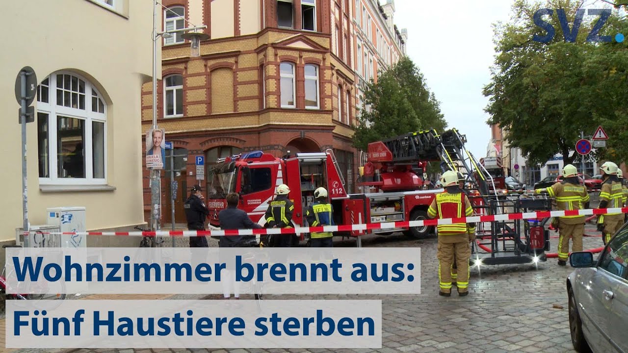Fünf Haustiere sterben - Wohnungsbrand am Schweriner Ziegenmarkt