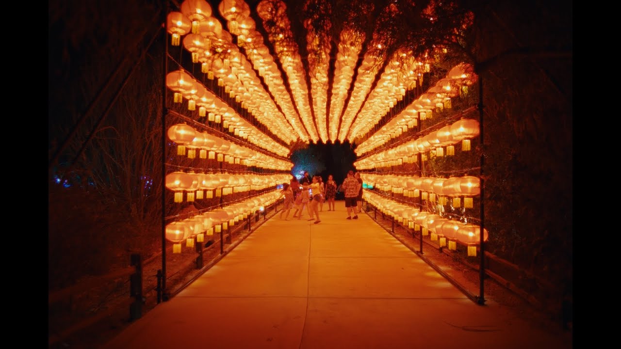 TTArtisan 17mm 1.4 | Low Light Test | 6.2k Open Gate | Fujifilm XH2S