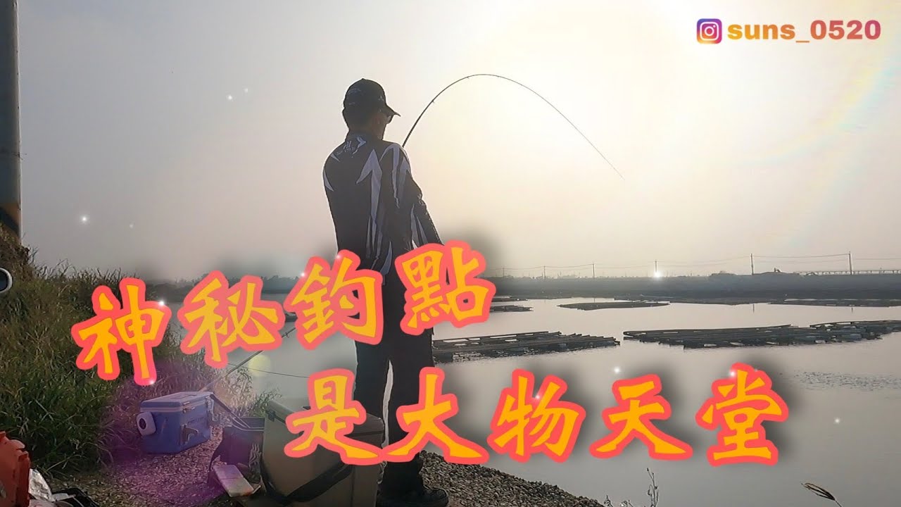活魚放流 很牛的釣點 不起眼的小潟湖真的有怪物 我把我釣到的沙格鉤下去試試看 結果真的被處理了 合興鯛魚魂0.6號磯釣竿 合興魔岩遠投 滿點生技 大竹梭 大鱸魚 放流/路亞/磯釣 ＃黑格＃七股