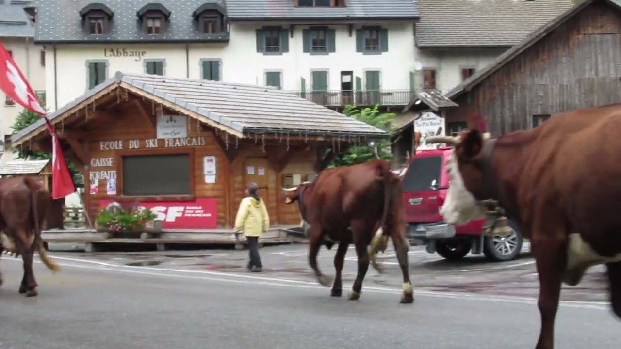 Transhumance Abondance