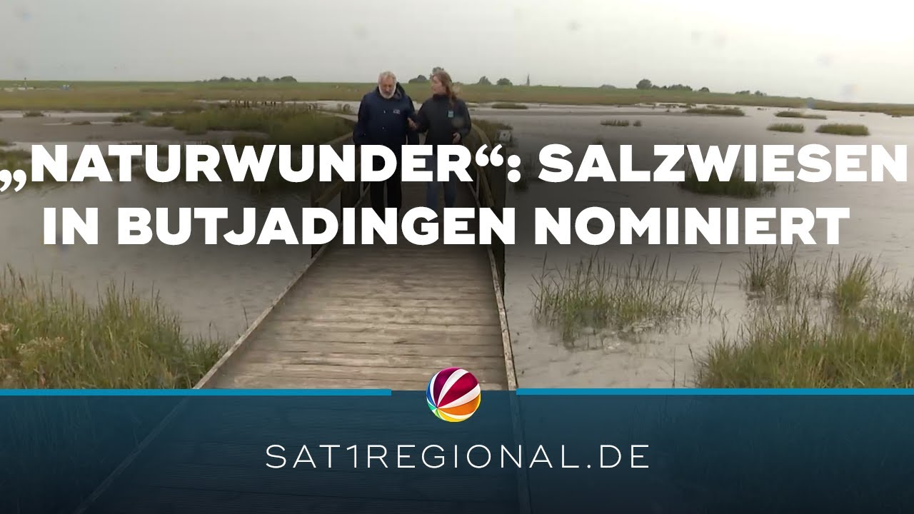 „Naturwunder 2024“: Langwarder Groden nominiert