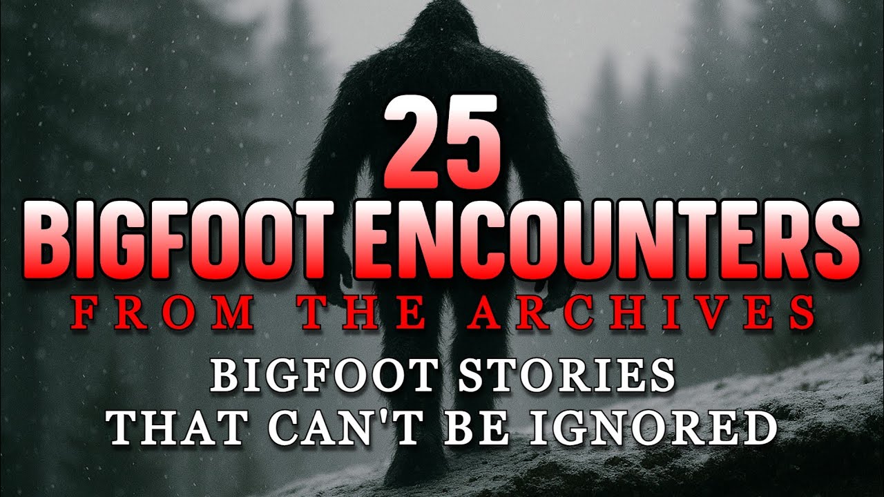 25 BIGFOOT ENCOUNTERS - Bigfoot Stories That Can’t Be Ignored From The Archives