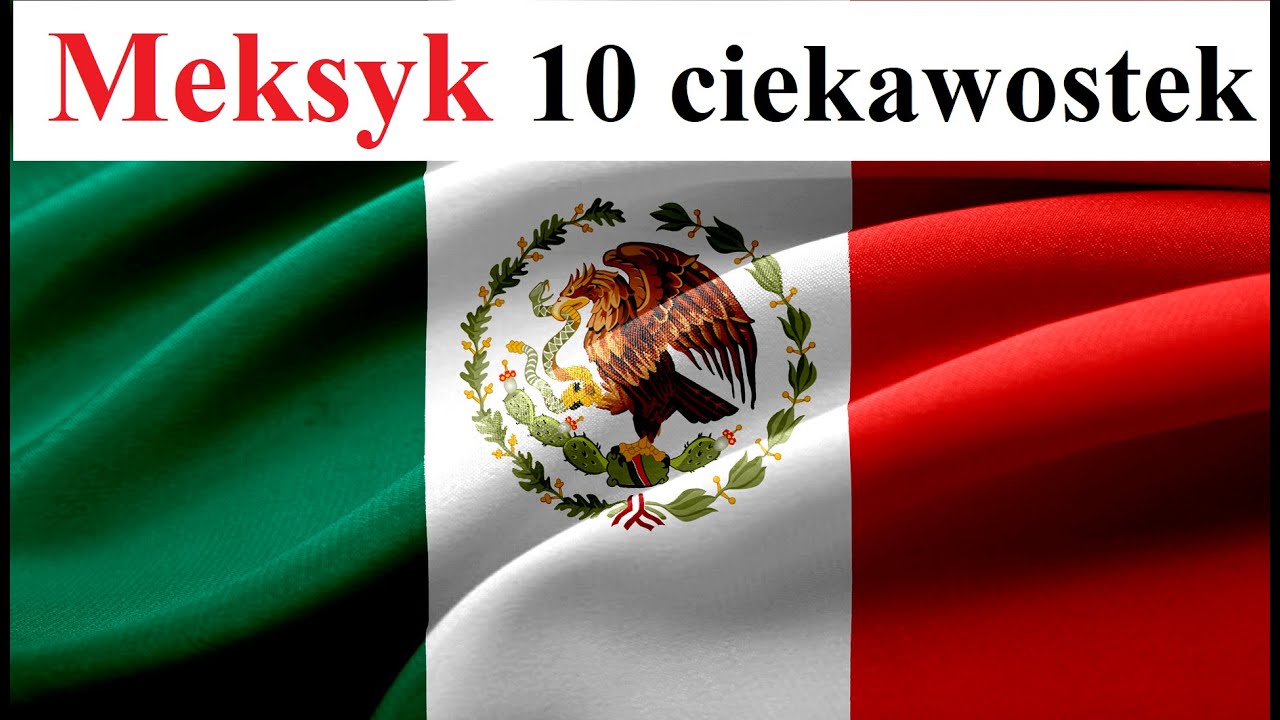 MEKSYK - 10 ciekawych informacji i faktów