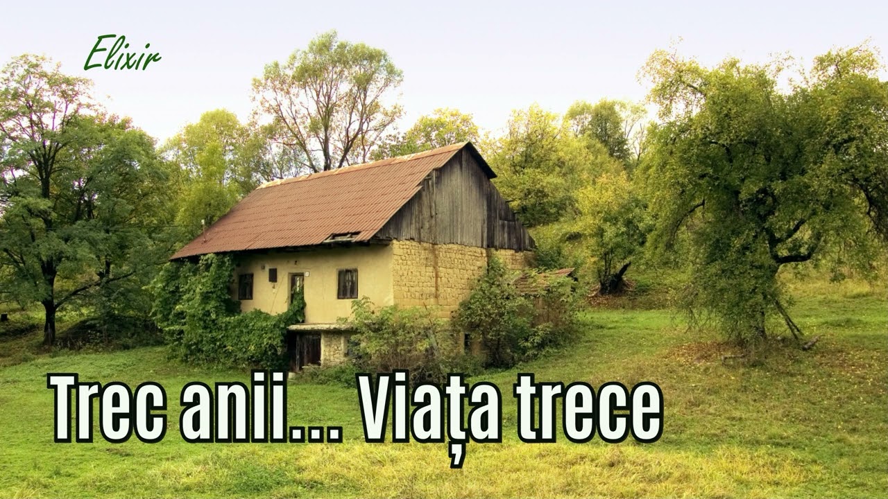Trec anii... Viața trece