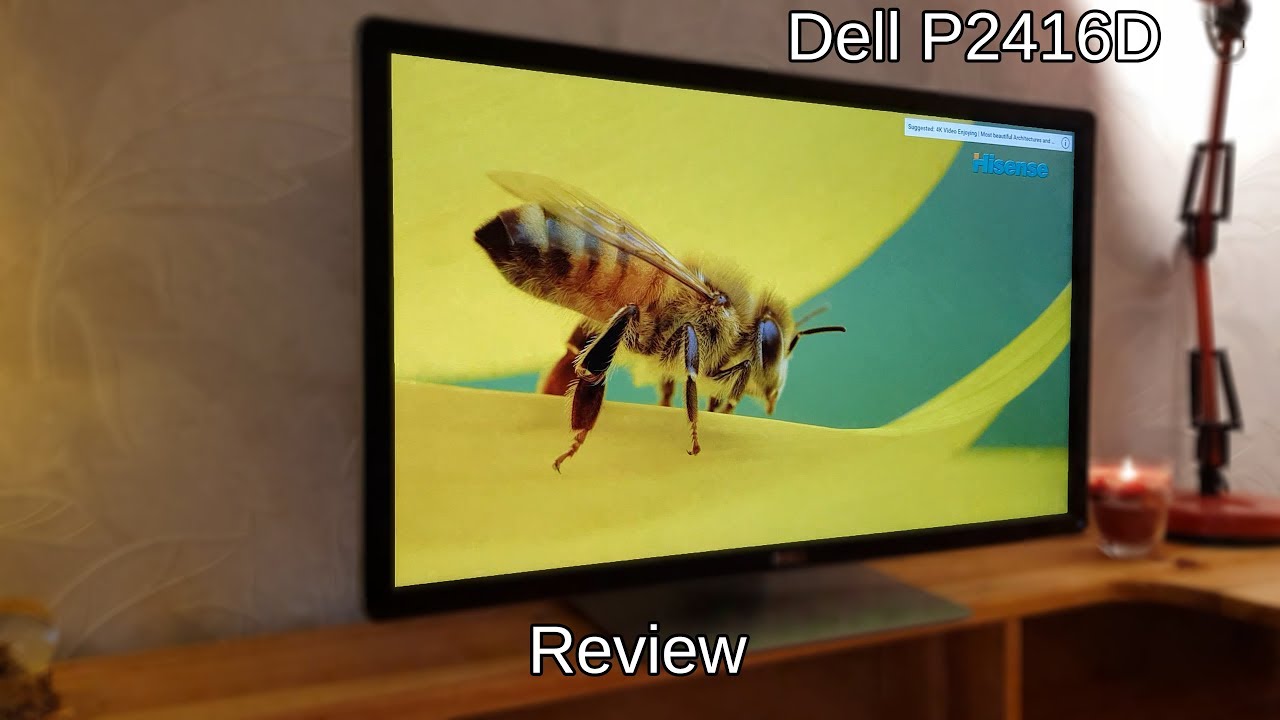 Dell P2416D Quick Look