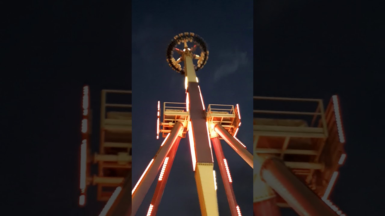 Jeddah jungle land