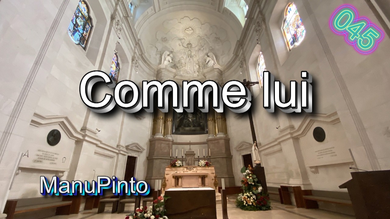 Comme lui - Robert Lebel / Claude Laflamme/Jo Akepsimas - N°045