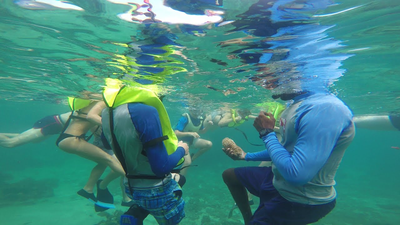 Negril snorkel 6