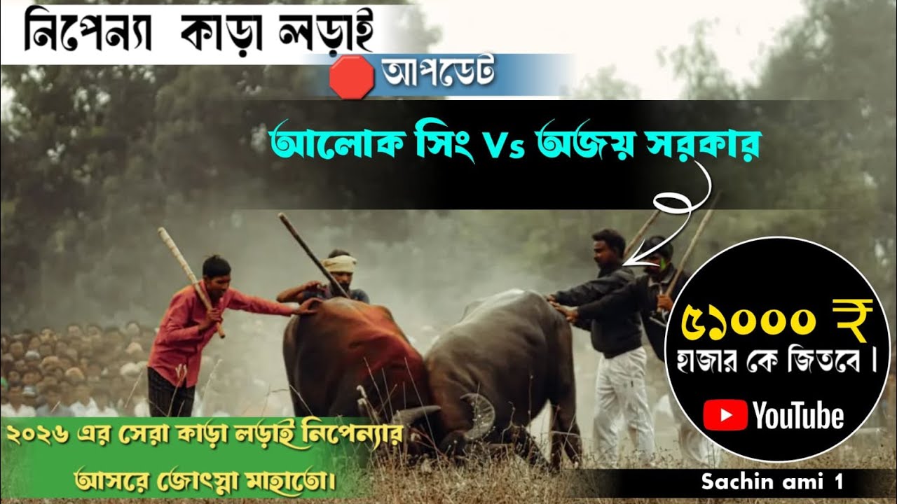আলোক সিং vs অজয় সরকার এর নিপেন্যা কাড়ালড়াই#nipenyakaralorai