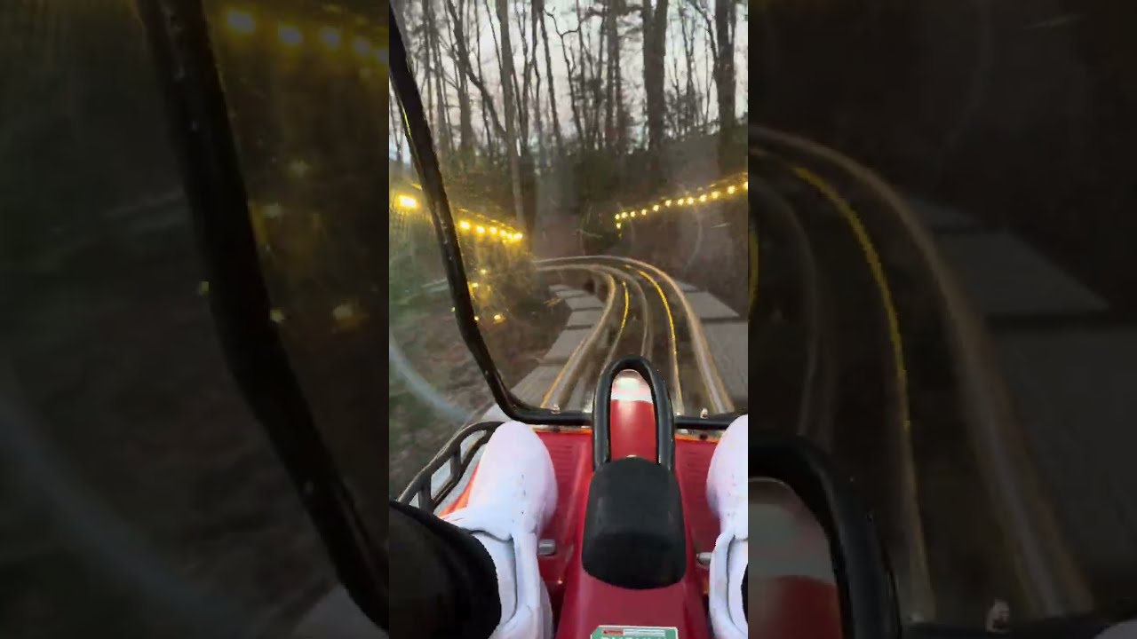 Full Experience Georgia Mountain Coaster 