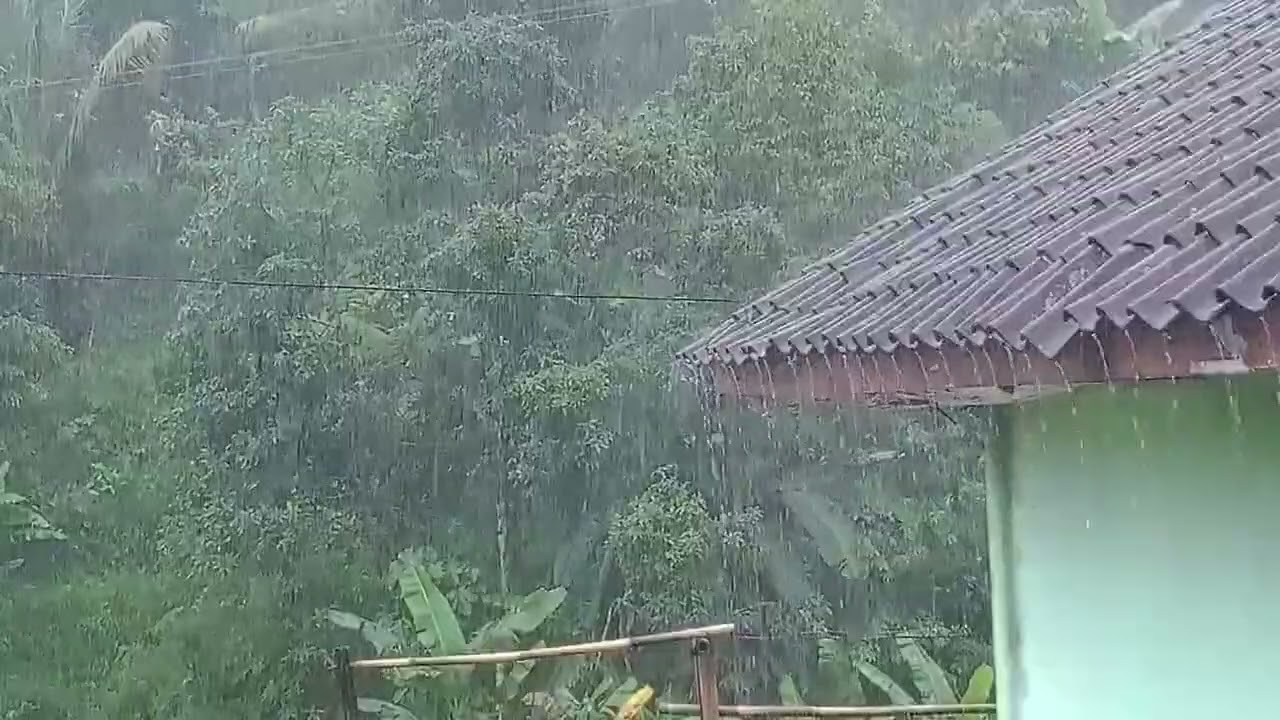 Сильный дождь с громом для сна 😴 Глубокая терапия для сна и снятия стресса