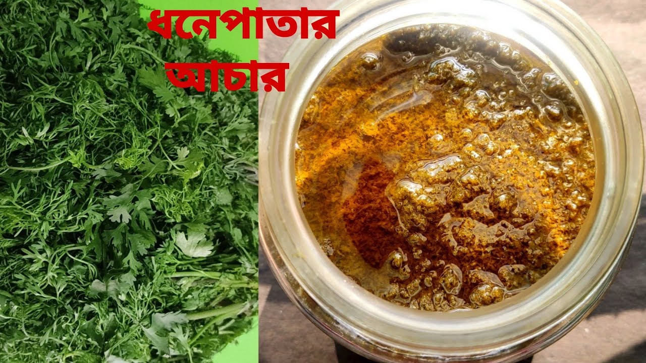 রোদে দেওয়ার ঝামেলা ছাড়াই ধনেপাতার আচার তৈরি করুন। how to make coriander leaves pickle