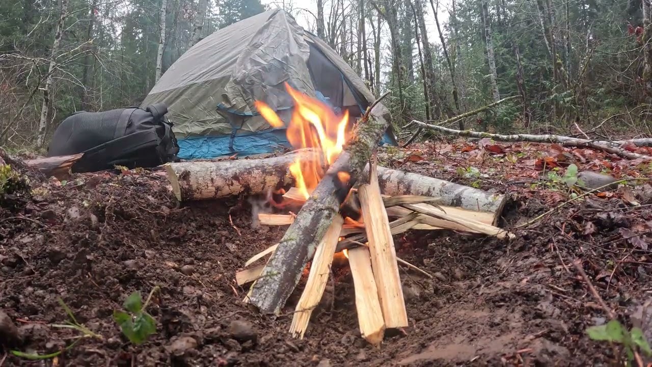 Cozy Rain-Soaked Escape Deep in the Wilderness: Campfire, River, & Endless Trees