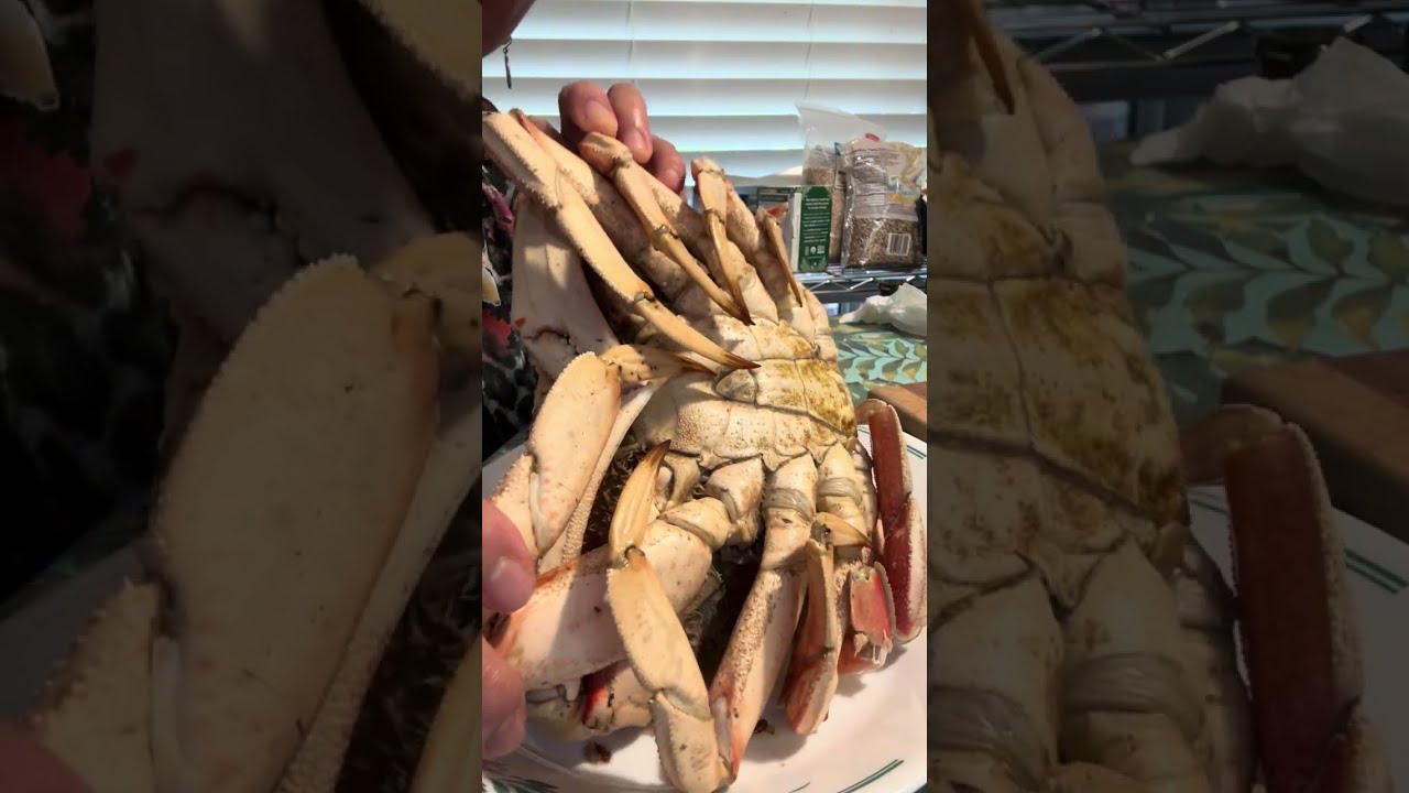 I Bought a HUGE Dungeness Crab from Costco and Here's What Happened #seafood #cooking #shorts