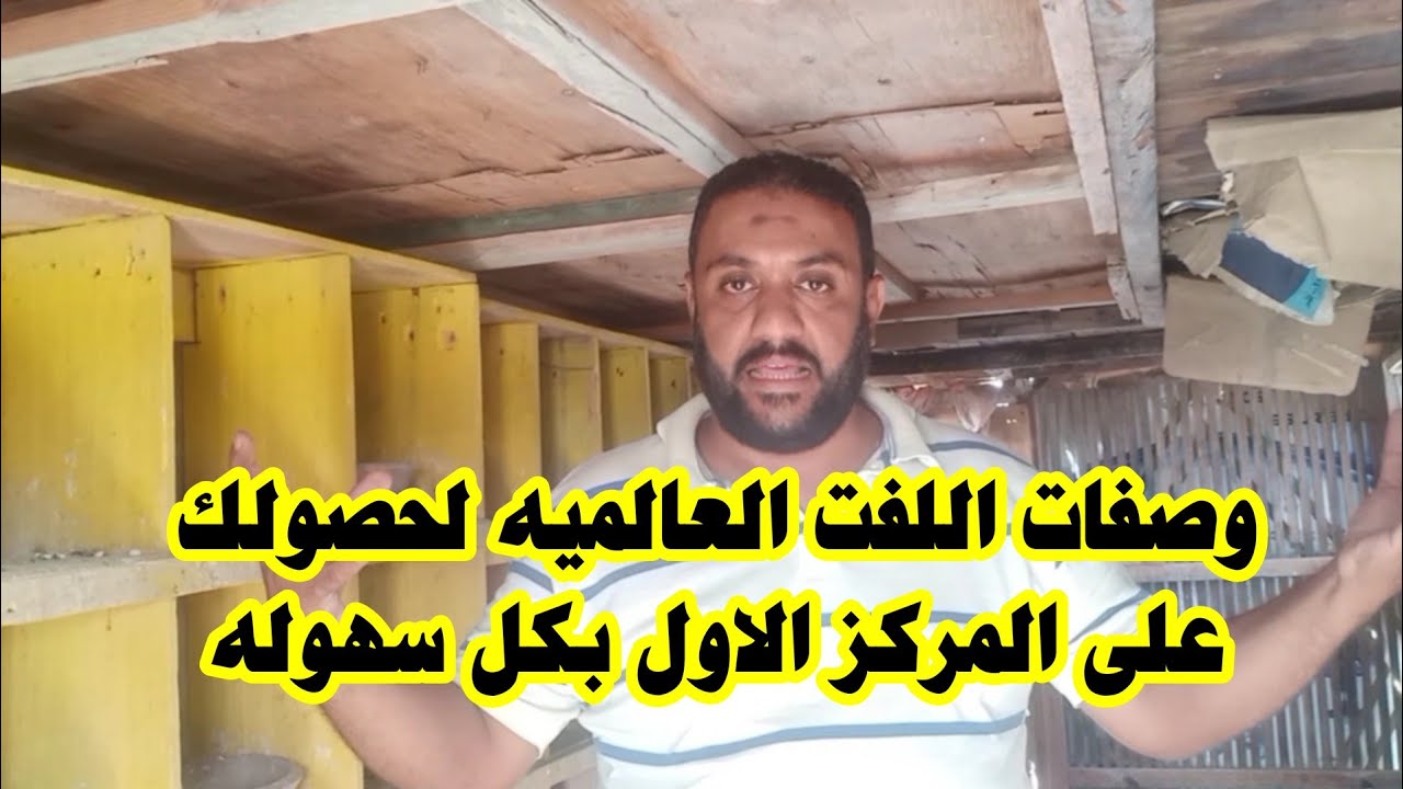 مواصفات اللفت العالمي لحصولك على المراكز الاوائل بكل سهوله وعوده الحمام من السبق بيحب اللفت والمكان