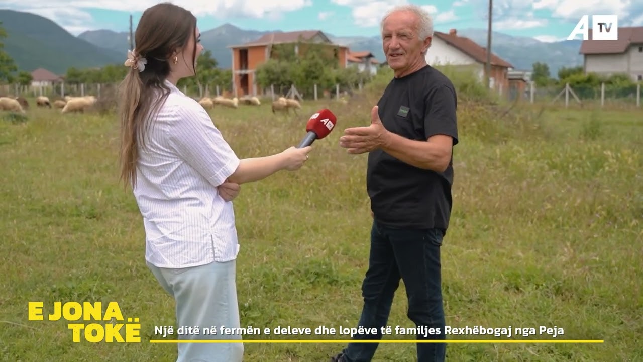 Një ditë në fermën e deleve dhe lopëve të familjes Rexhëbogaj nga Peja