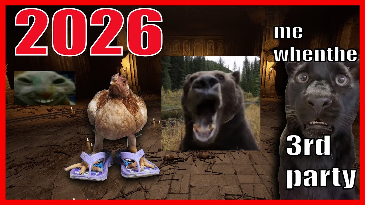 Как справиться с проблемами, связанными с мышами