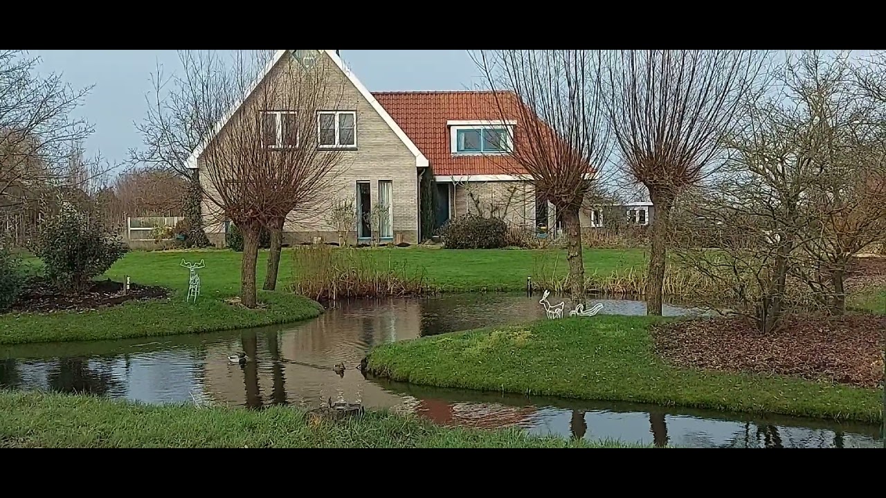 Afternoon Walk on 1 Jan 2022 Winter season (4)Vlog in Holland