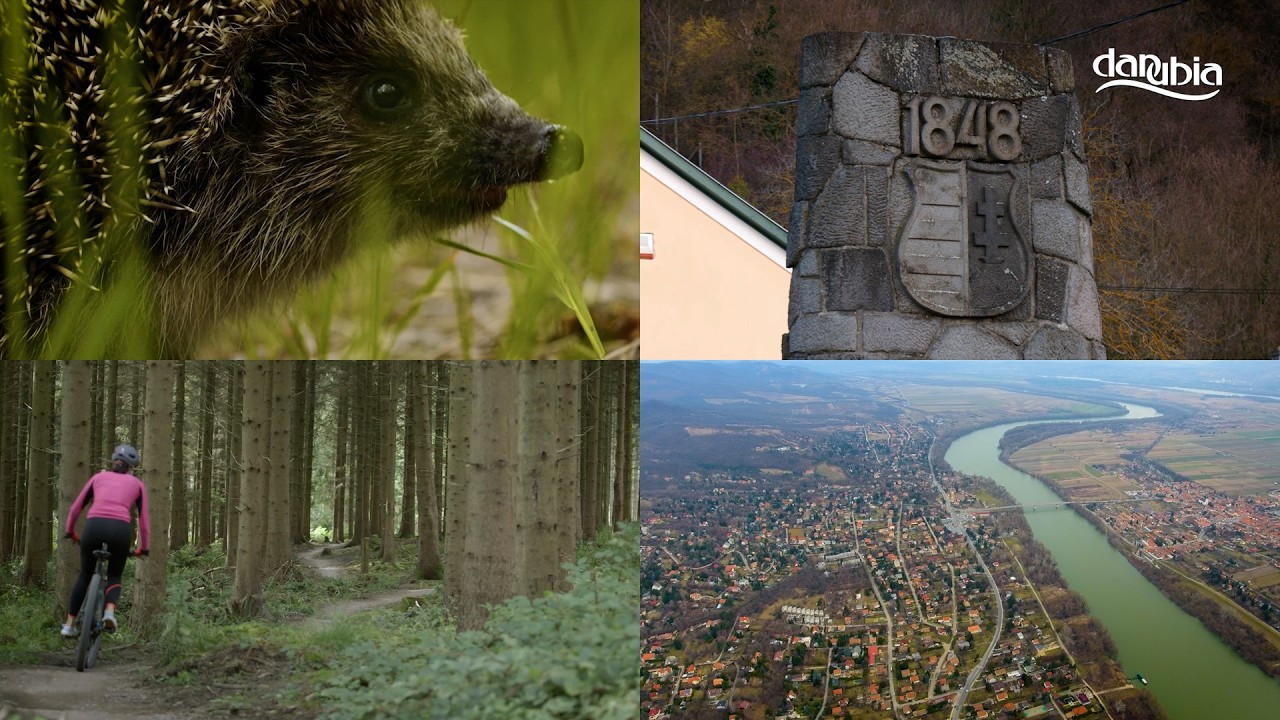 Hírek - 2026. március 17.