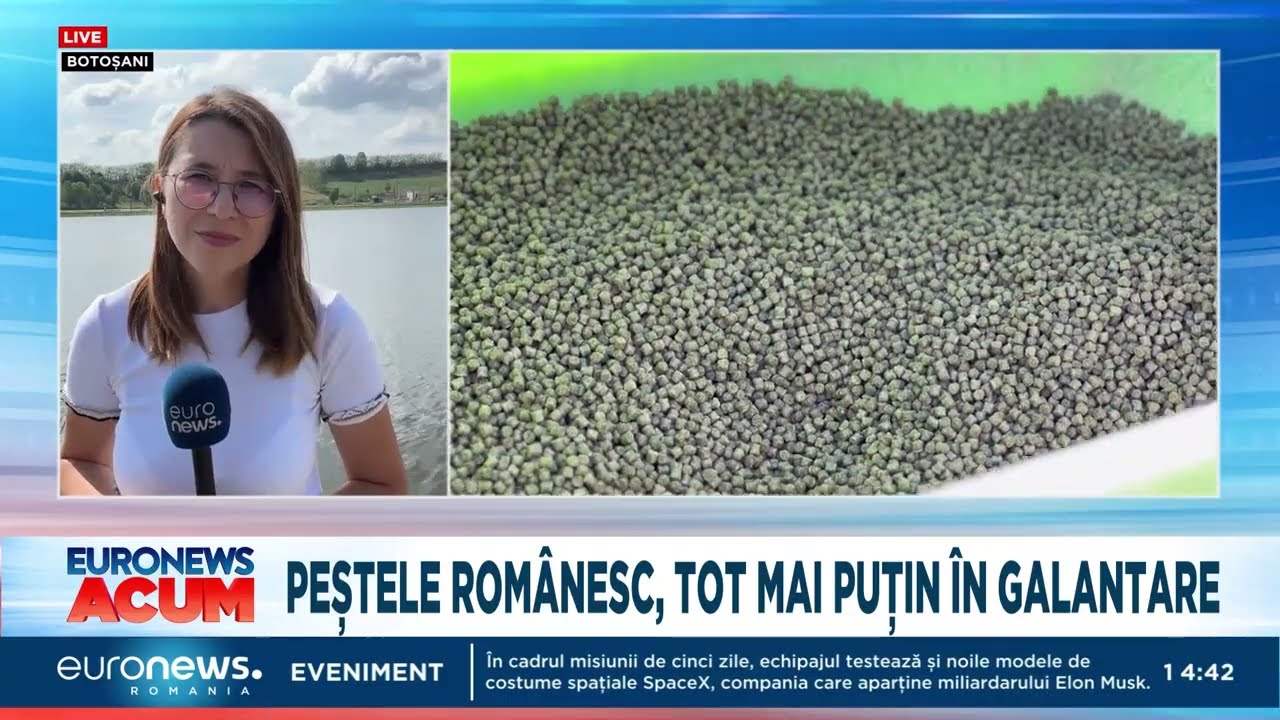Campania Euronews România „Pescuitul, în coadă de pește”, o radiografie a neputinței și umilinței