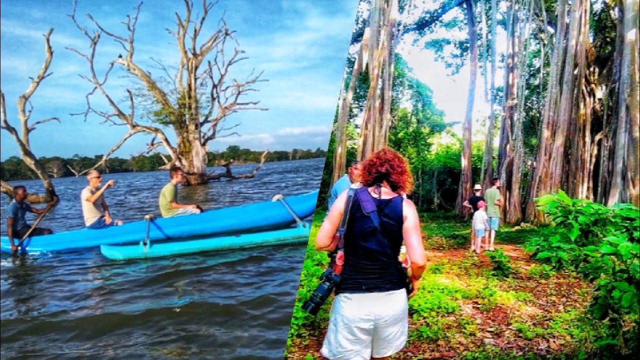 Canoe safari at hambegamuwa lake...🚣‍♂️❤️🇱🇰@WasanthaAiya