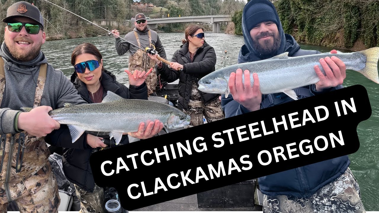 CATCHING STEELHEAD IN CLACKAMAS OREGON