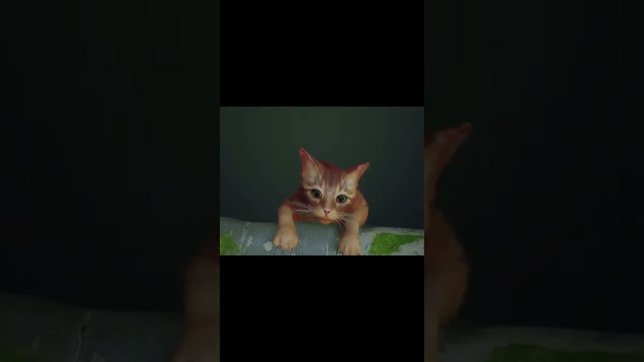 No me duele, me quema, me lastima :,( #stray #gatos #sad #triste