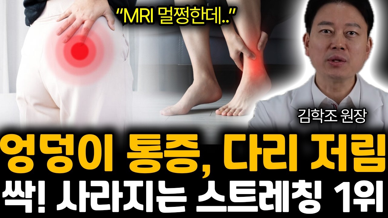 “MRI 멀쩡한데..” 원인 모를 엉덩이, 다리 통증. 병원 안가고 싹! 낫는 운동 1위 | 김학조 원장 통합2부