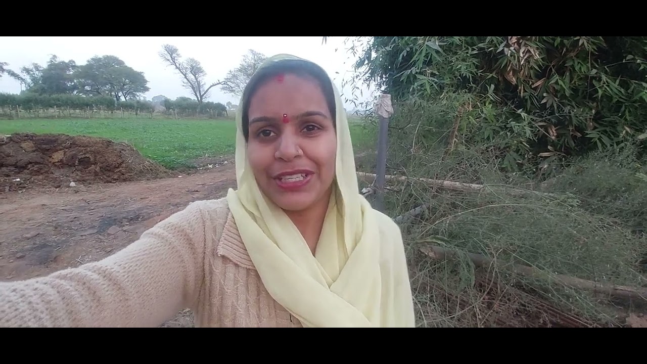 मेरे गांव का नजारा