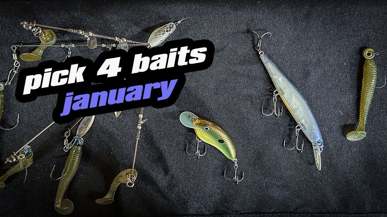 Pick 4 | Baits For January