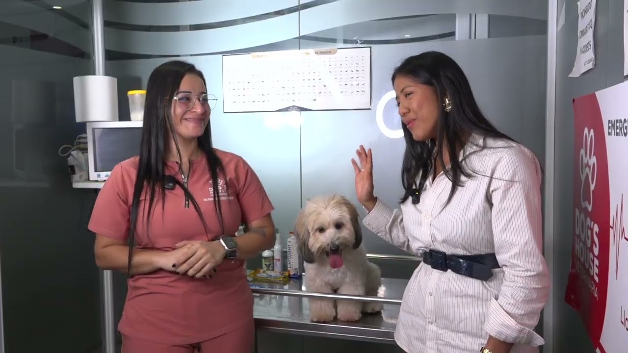 Conoce la clínica veterinaria Dog,s House