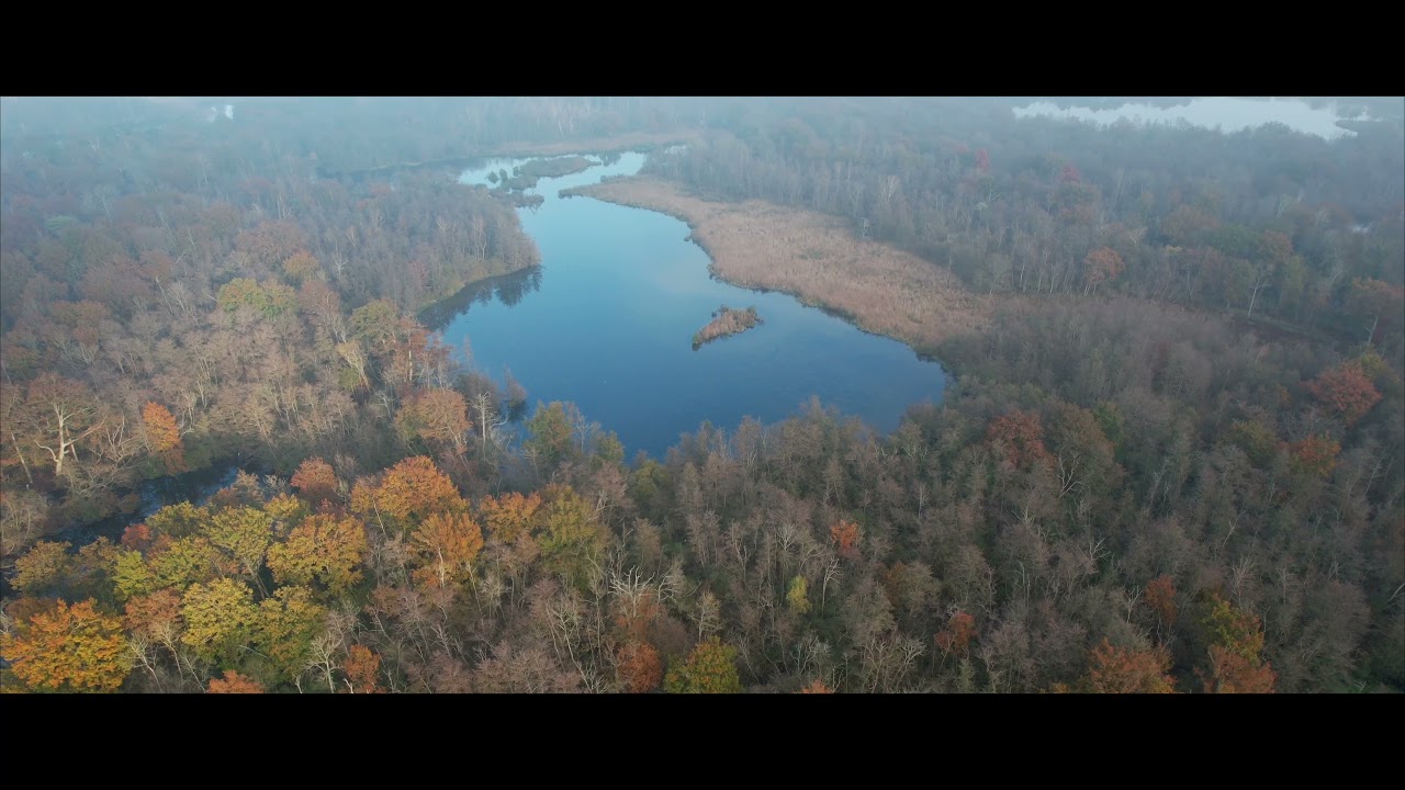 Etangs de Vert le Petit, vue du ciel avec drone DJI Air 2S