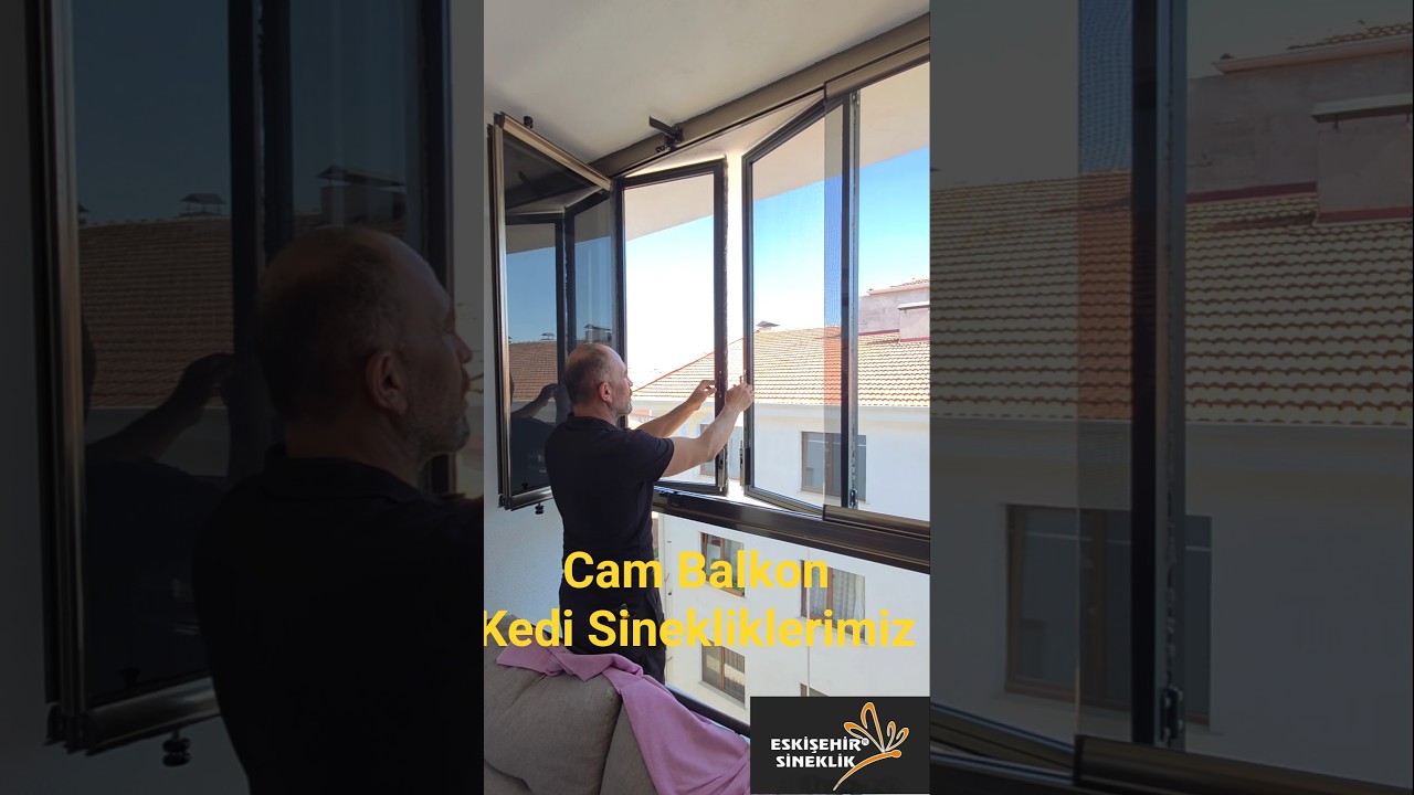 Cam Balkon Kedi Sinekliklerimiz 