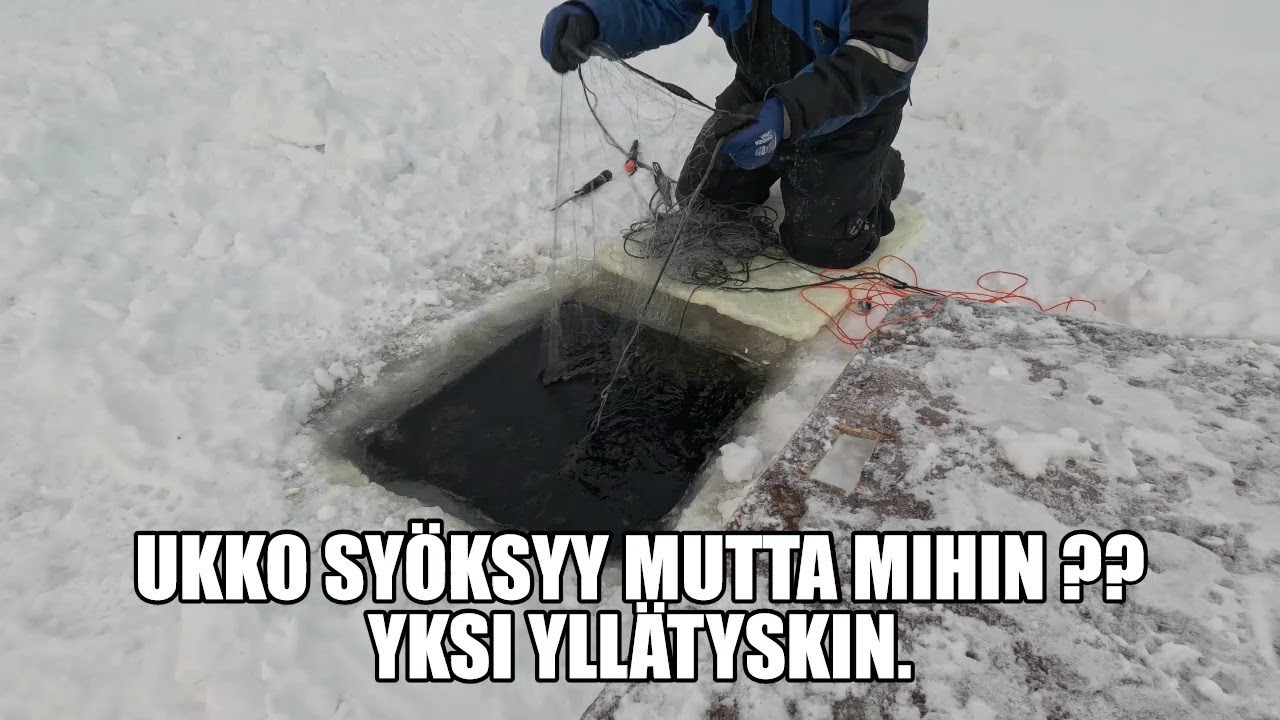 UKKO SYÖKSYY !!
